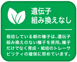 遺伝子組み換えのない種子を使用