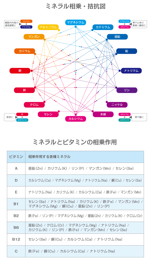 ミネラル協力関係図